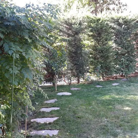 Superb House With Marvelous Garden *