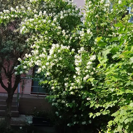 فيلة Superb House With Marvelous Garden اسطنبول